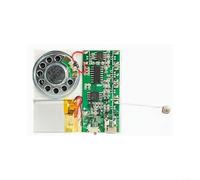 Módulo de voz MP3 de 8 MB de audio con USB recargable, chip de sonido de música para proyectos de manualidades, grabación a través del micrófono o PC, compacto para tarjetas de felicitación y
