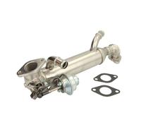 Módulo EGR EASY FIT NRF 48313