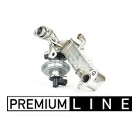 Módulo EGR MAHLE CE 8 000P