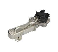 Módulo EGR NRF 48205