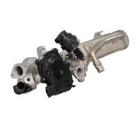 Módulo EGR NRF 48206
