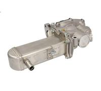 Módulo EGR NRF 48208 para RENAULT LAGUNA II (BG0/1_) 1.9 2005-2007