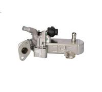 Módulo EGR NRF 48212 para NISSAN CABSTAR (F24M, F24W) 3 2006-2013