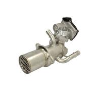 Módulo EGR NRF 48453