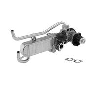 Módulo EGR WAHLER 710863D