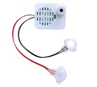 Módulo grabador de sonido de voz - Juguete de peluche Mini - Grabador | Caja de reproducción para y disfraces de Halloween, grabadora sencilla a pilas, manualidades y mensajes calabazas