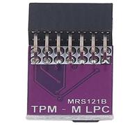Módulo TPM 2.0 Accesorio Cifrado de Tarjeta remota Seguridad para la Serie Z590 H570 B560