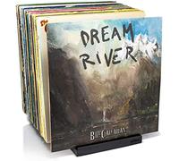 MÖNKE Estante Para Discos De Vinilo - Un Soporte Para Discos De Diseño Minimalista- Capacidad Para 50 Lp - Con Una Ranura De Visualización Frontal (Marrón)