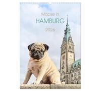 Möpse in Hamburg (Wandkalender 2026 DIN A3 hoch), CALVENDO Monatskalender: Sightseeing mit dem Mops in Hamburg