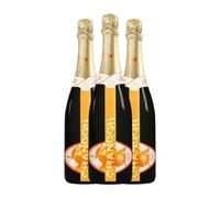 Moët & Chandon Argentina Chandon Garden Spritz Orange Peel Blend Mendoza 75 cl Espumoso blanco (Caja de 3 Botellas de 75 cl)