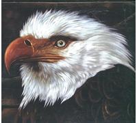 Mogwai - The Hawk Is Howling