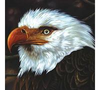 Mogwai - The Hawk Is Howling