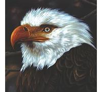 Mogwai - The Hawk Is Howling (Ltd. White Col. 2lp) [Vinilo]