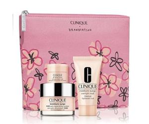 MOISTURE SURGE 100H CASE 4 pcs