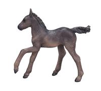MOJO- Animal Planet Potro árabe, Color Negro (381015) (Importación USA)