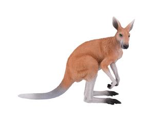 MOJO Canguro Australiano Wildlife Animal Modelo Figura de Juguete
