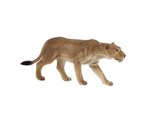 MOJO Leeuwin 381071 (Importación USA)