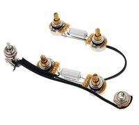 Mojotone Semi-Hollow Prewired Harness