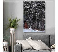 Mokamika 50 ventosas de goma negra de 27 mm para bomba de acuario