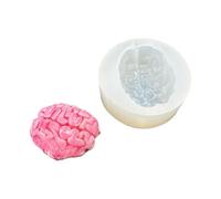 Molde de silicona para cerebros con acabado espejo, superficies lisas para proyectos científicos, anatomía educativa, simulación de silicona