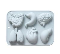 Molde para caramelos con forma de órgano - Intestino, pulmones, corazón y cerebro, fabricado en silicona con el diseño de un órgano interno | Herramienta para la cocción de anatomía interna, bandeja
