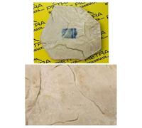 Molde para yeso impreso imitación piedra, pared impresa cemento impreso, modelo "Rock Mat 10" de cm 33x30 aprox., para moldes de suelo y moldes para piedra
