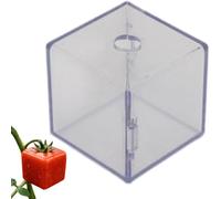 Moldeador De Frutas Para Cultivar Molde Reutilizable Transparente