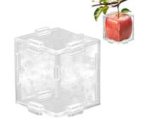 Moldeador De Frutas Para Cultivar | Molde Transparente Triangular Y Cúbico | Molde De Cultivo De Frutas | Para El Crecimiento De Plantas En El Pepino Tomate Fresa Calabaza Sandía