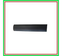 Moldeo de la puerta trasera derecha -Citroen Berlingo Negro en relieve- (Año ...