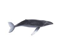 Moldes cuadrados de silicona de resina marina, modelo de animales marinos, moldes epoxi, relleno de criaturas marinas, cubo de resina fácil de usar