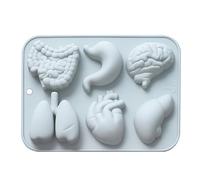 Moldes de fondant para órganos humanos - corazón, cerebro, estómago, hígado, pulmones, intestinos | 6 huecos DIY pastel de chocolate, dulces, helados para cocina creativa, hornear, pastelería