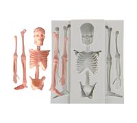 Moldes de silicona con esqueleto de calavera,Moldes de esqueleto de calavera de Halloween - Molde para hornear de cocina con, moldes para hacer velas y Chocolate | de resina epoxi par