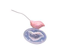 Moldes de silicona de alta calidad con forma de cola de personajes de anime para arcilla, fáciles de desmoldar y resistentes para uso repetido en clases de arte, moldes de educación artística