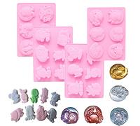 Moldes de silicona para chocolate, For Zodiac Signs and Twelve Constellation Cake Tray Mould DIY Tool Chocolate Soap Pudding Cake(Twelve Constellation)