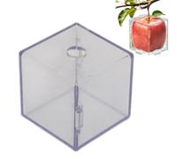 Moldes Para Cultivar Vegetales moldeador transparente reutilizable