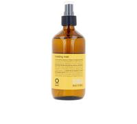 MOLDING MIST laca ecológica fijación media/fuerte 240 ml