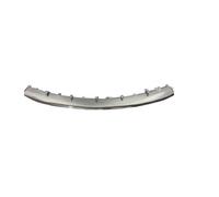 Moldura Cromada Parachoques Central Delantero Clase E W213 2016 en poiamg