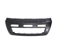 Moldura de parachoques BLIC 6509-01-3284920P