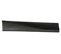 Listón embellecedor/protector, puerta BLIC 5703-02-6738494P