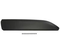 Moldura de puerta Atrás derecha negro 5703-04-0554572P BLIC para CITROËN OPEL