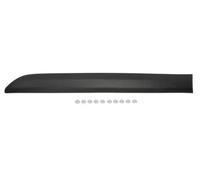 Moldura de puerta Atrás derecha negro 5703-04-0559574P BLIC para CITROËN FIAT