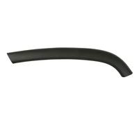 Moldura de puerta Atrás izquierda negro 5703-08-3206373P BLIC para JEEP