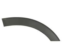 Moldura de puerta Delante, derecha negro 6601-02-2518424P BLIC para FORD