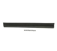 Moldura de puerta Delante, izquierda negro 5703-02-6738491P BLIC para SUBARU