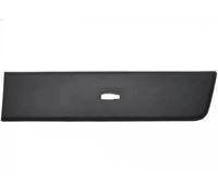 Moldura decorativa Atrás izquierda gris FT90771 FAST para FIAT PEUGEOT CITROËN