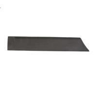 Moldura decorativa BLIC 5703-04-2008574P para FIAT PANDA (169_) 1.2 2007-2011