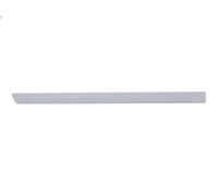 Moldura decorativa BLIC 5703-04-2533578P para FOCUS II Descapotable 2 2006-