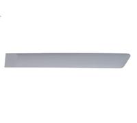 Moldura decorativa BLIC 5703-04-2564477CP para FORD FIESTA V Van 1.3 2002-2008