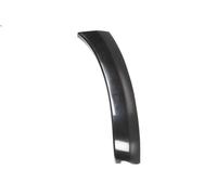 Moldura decorativa BLIC 5703-08-8179380P para RAV 4 III (_A3_) 2 2008-2013