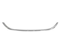 Rejilla de radiador - moldura decorativa/protectora BLIC 6502-07-2030993P